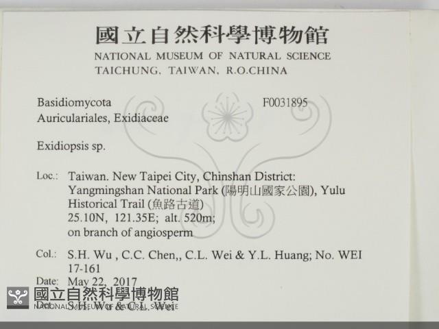 登錄號:F0031895藏品圖，第2張