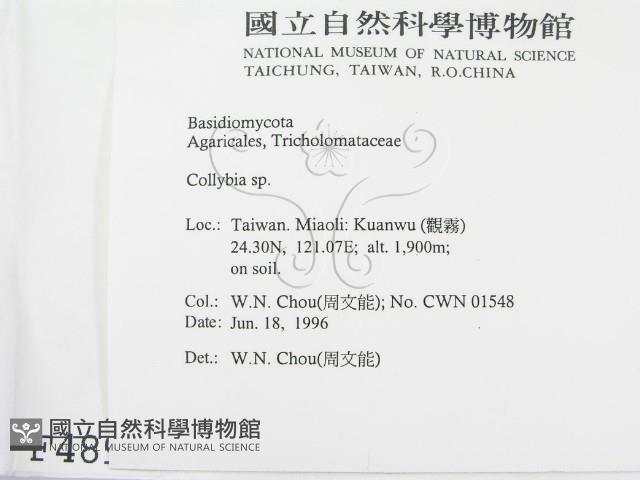 登錄號:F0004895藏品圖，第2張