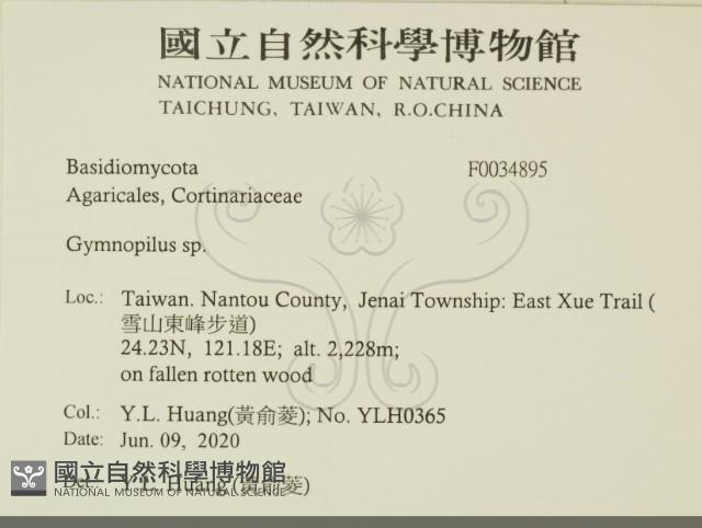 登錄號:F0034895藏品圖，第2張