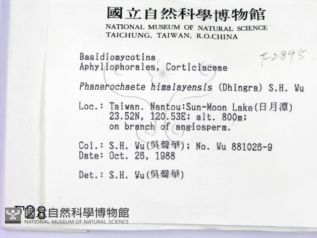 登錄號:F0002895藏品圖，第2張