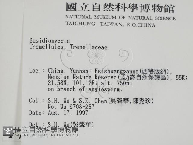 登錄號:F0007895藏品圖，第2張