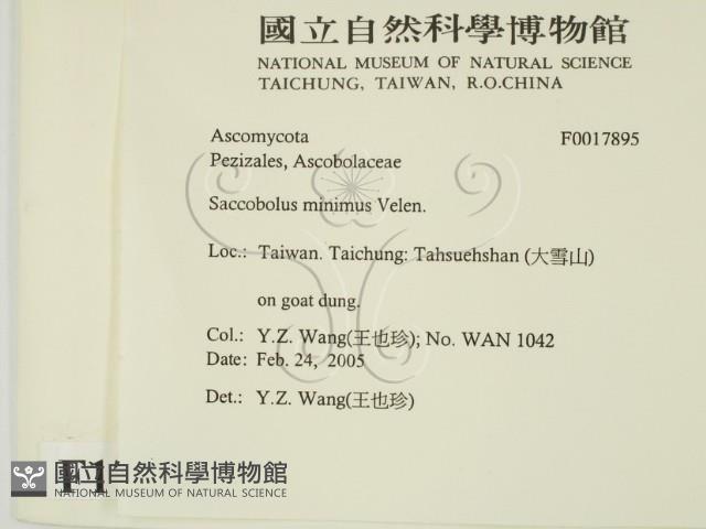 登錄號:F0017895藏品圖，第2張