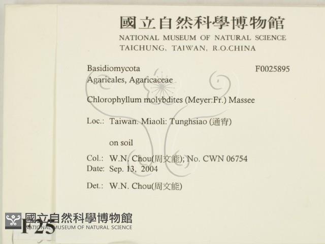 登錄號:F0025895藏品圖，第2張