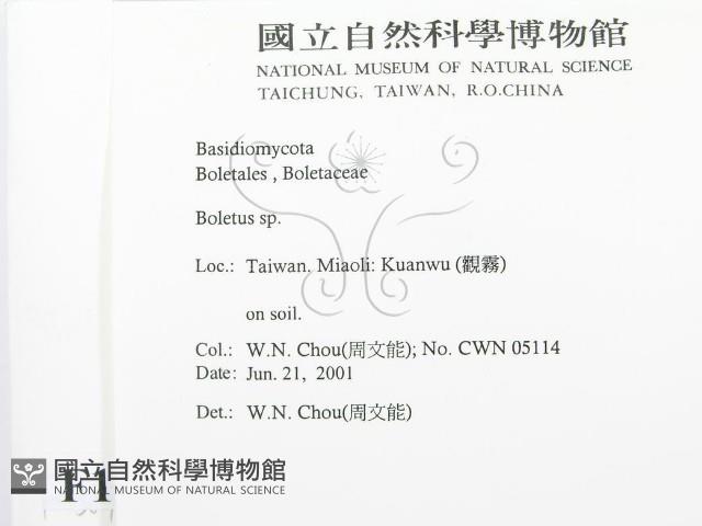登錄號:F0015895藏品圖，第2張