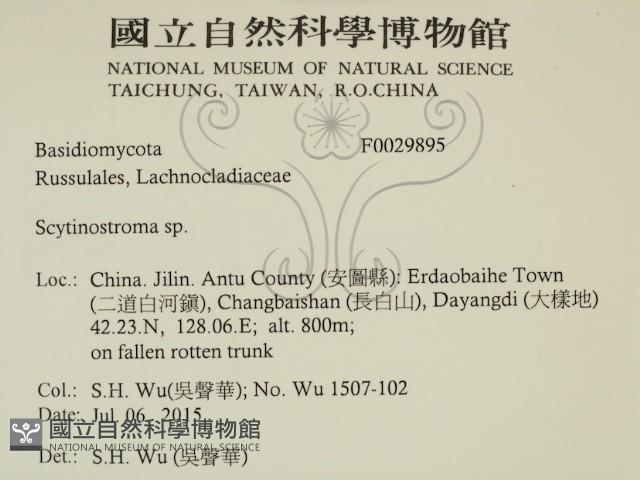 登錄號:F0029895藏品圖，第2張