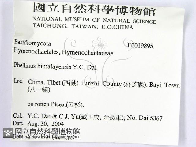 登錄號:F0019895藏品圖，第2張