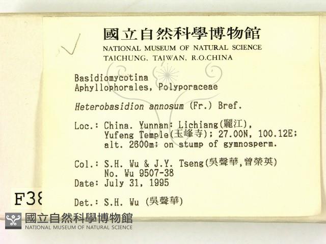 登錄號:F0003895藏品圖，第2張