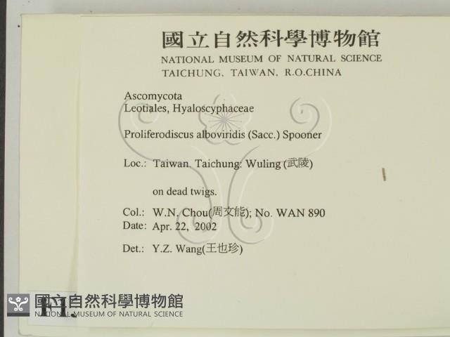 登錄號:F0013895藏品圖，第2張