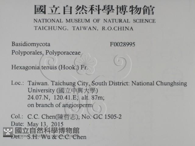 Accession Number:F0028995 Collection Image, Figure 2, Total 2 Figures