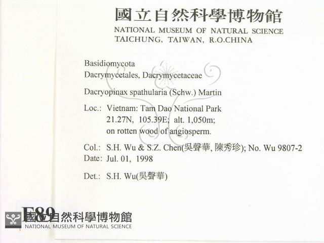 登錄號:F0008995藏品圖，第2張