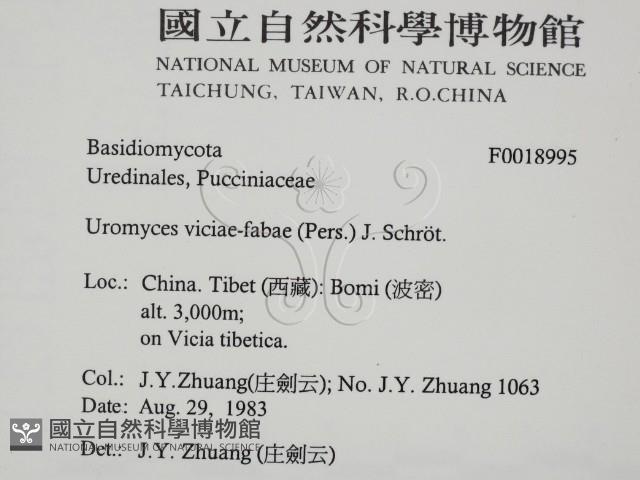登錄號:F0018995藏品圖，第2張