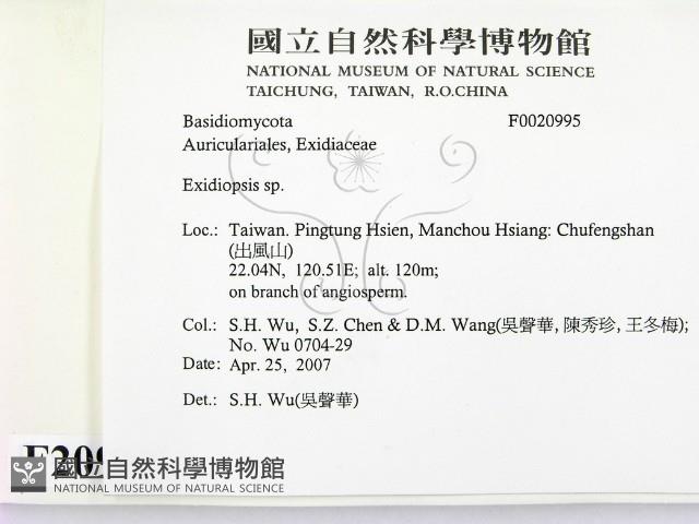 登錄號:F0020995藏品圖，第2張