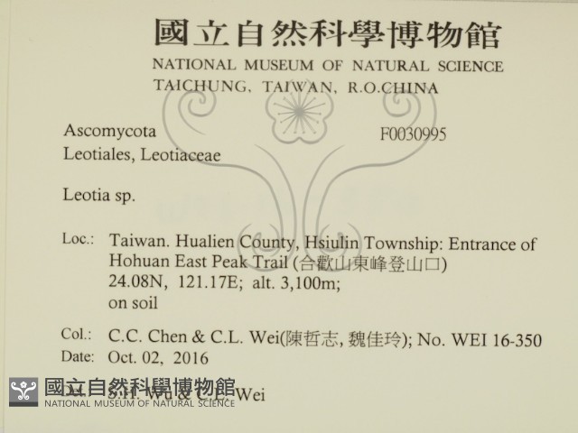 登錄號:F0030995藏品圖，第2張