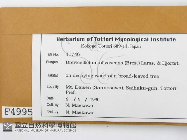 登錄號:F0004995藏品圖，第2張