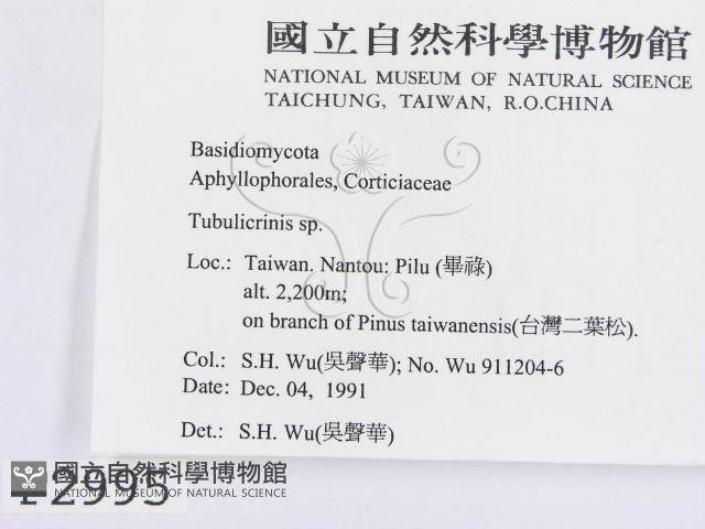 登錄號:F0002995藏品圖，第2張