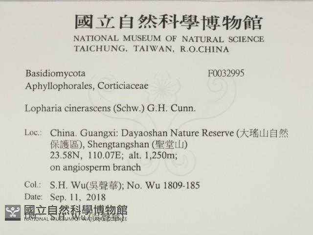 登錄號:F0032995藏品圖，第2張