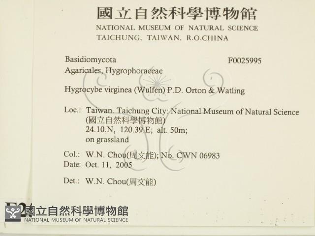 登錄號:F0025995藏品圖，第2張