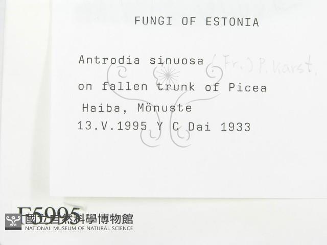 登錄號:F0005995藏品圖，第2張