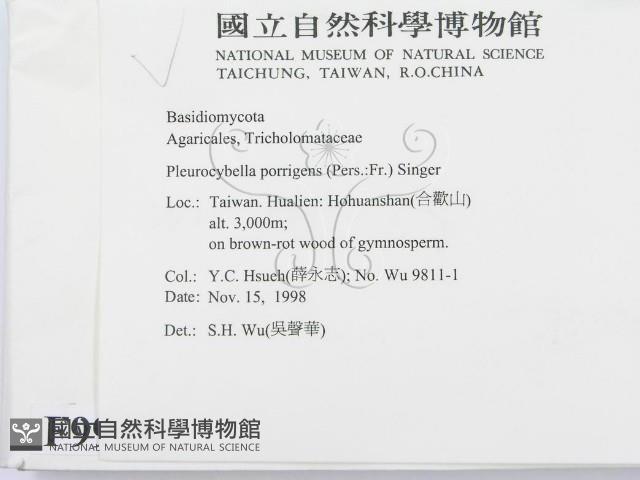 登錄號:F0009995藏品圖，第2張