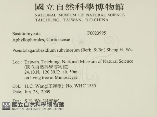 登錄號:F0023995藏品圖，第2張