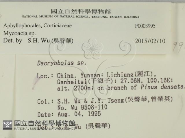 登錄號:F0003995藏品圖，第2張