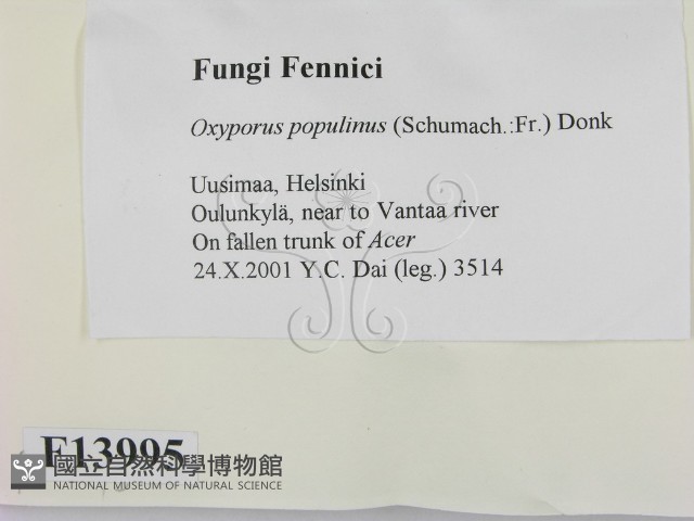 登錄號:F0013995藏品圖，第2張