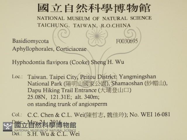 登錄號:F0030695藏品圖，第2張