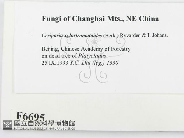 登錄號:F0006695藏品圖，第2張