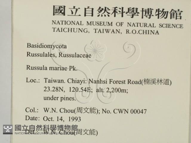 登錄號:F0001695藏品圖，第2張