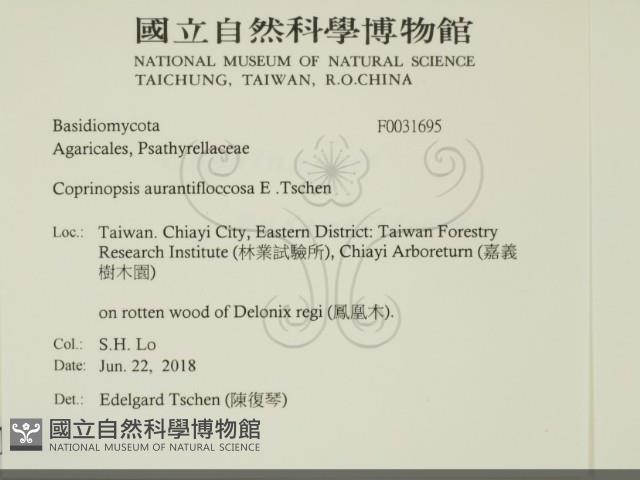 登錄號:F0031695藏品圖，第2張