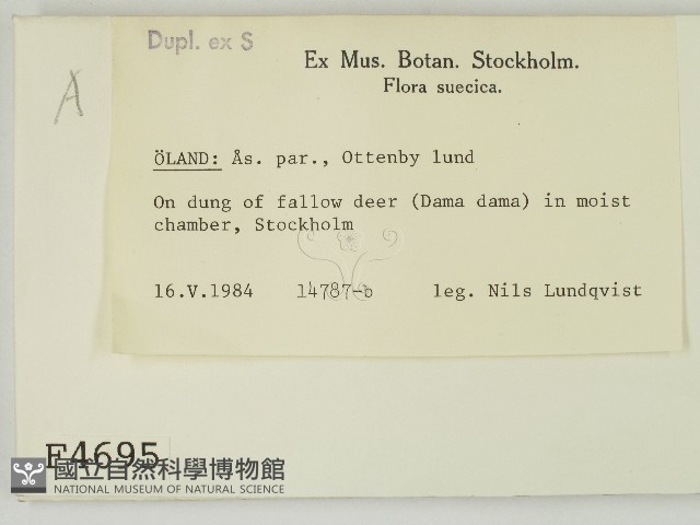 登錄號:F0004695藏品圖，第2張