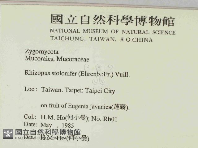 登錄號:F0014695藏品圖，第2張