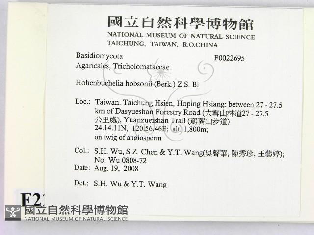 登錄號:F0022695藏品圖，第2張