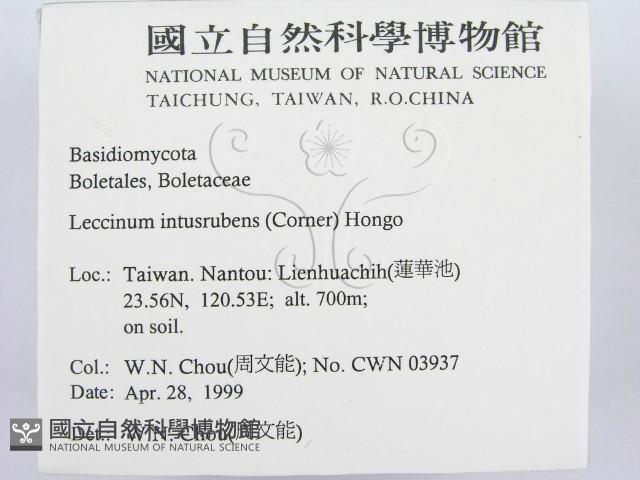 登錄號:F0012695藏品圖，第2張