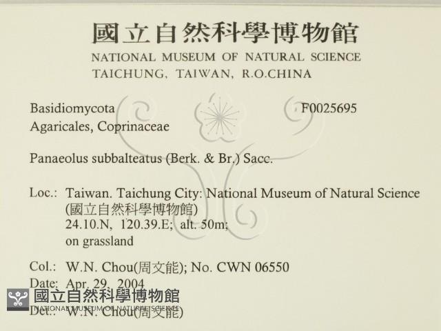 登錄號:F0025695藏品圖，第2張