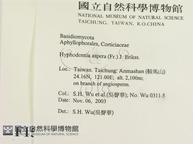 絲齒菌屬藏品圖，第2張