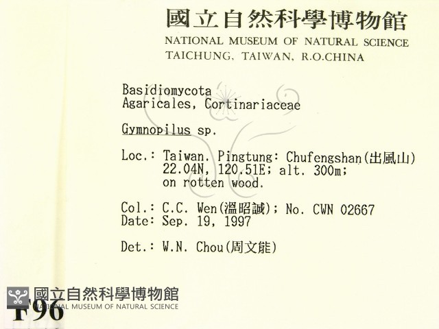 登錄號:F0009695藏品圖，第2張