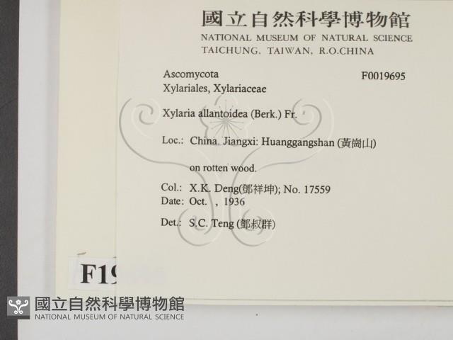 登錄號:F0019695藏品圖，第2張