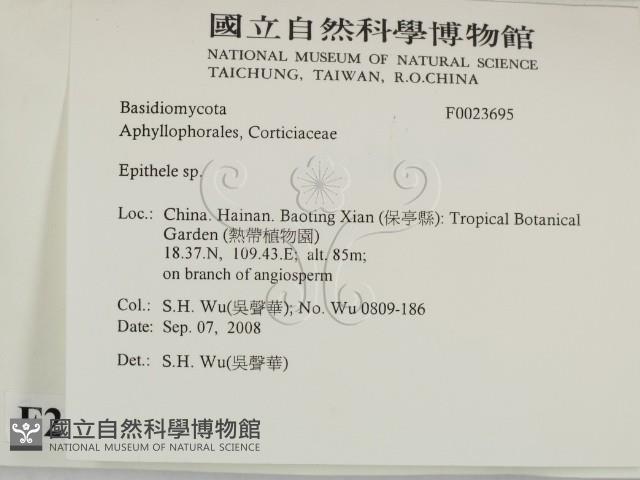 登錄號:F0023695藏品圖，第2張