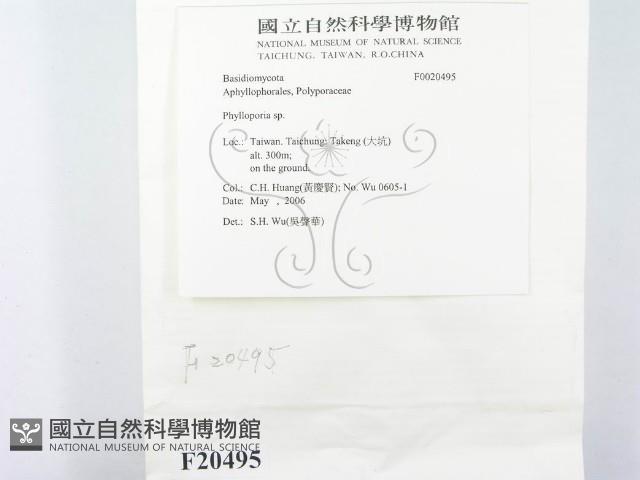 登錄號:F0020495藏品圖，第2張