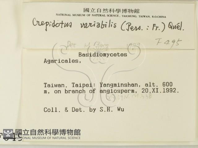 登錄號:F0000495藏品圖，第2張