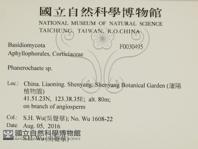 登錄號:F0030495藏品圖，第2張
