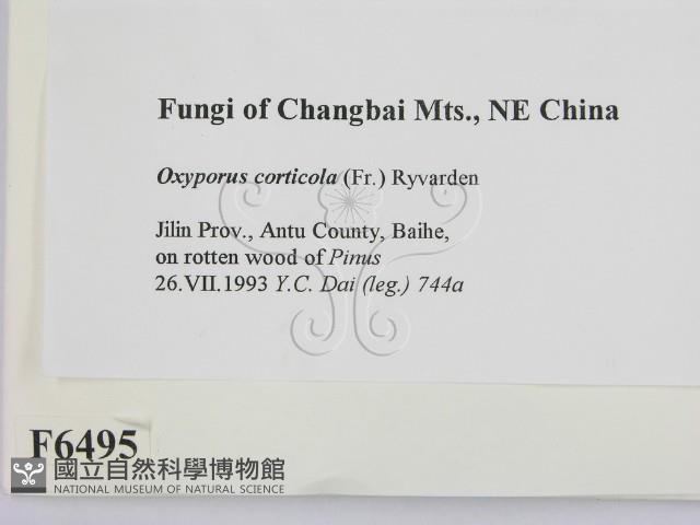 登錄號:F0006495藏品圖，第2張