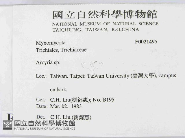 登錄號:F0021495藏品圖，第2張