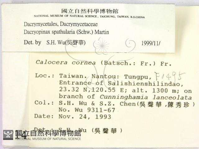 登錄號:F0001495藏品圖，第2張