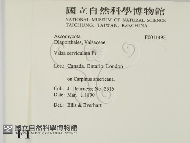 登錄號:F0011495藏品圖，第2張
