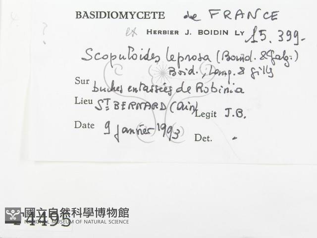 登錄號:F0004495藏品圖，第2張