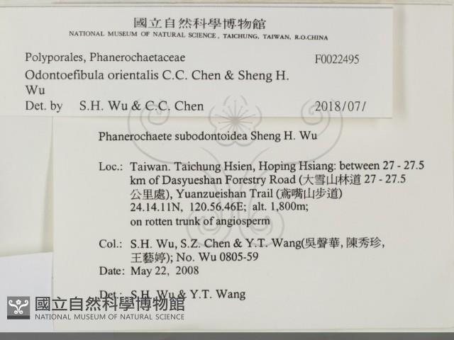 登錄號:F0022495藏品圖，第2張