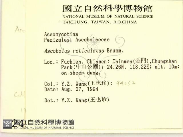 登錄號:F0002495藏品圖，第2張