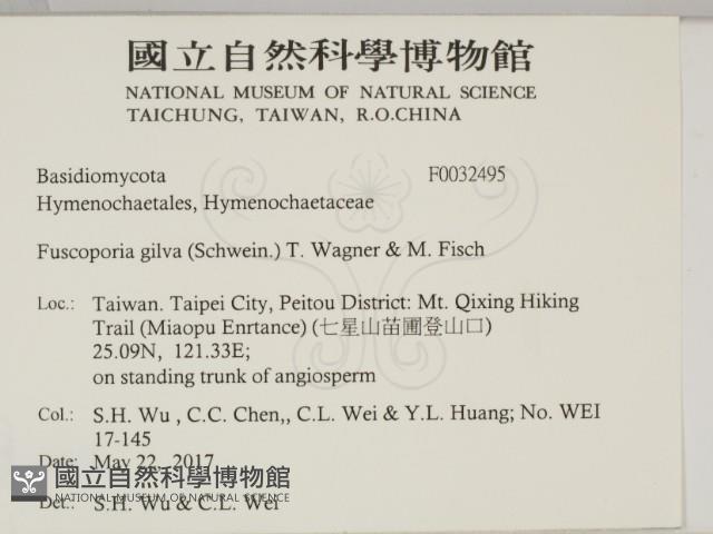 登錄號:F0032495藏品圖，第2張